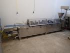 2009 Anko Spring Roll Production Line